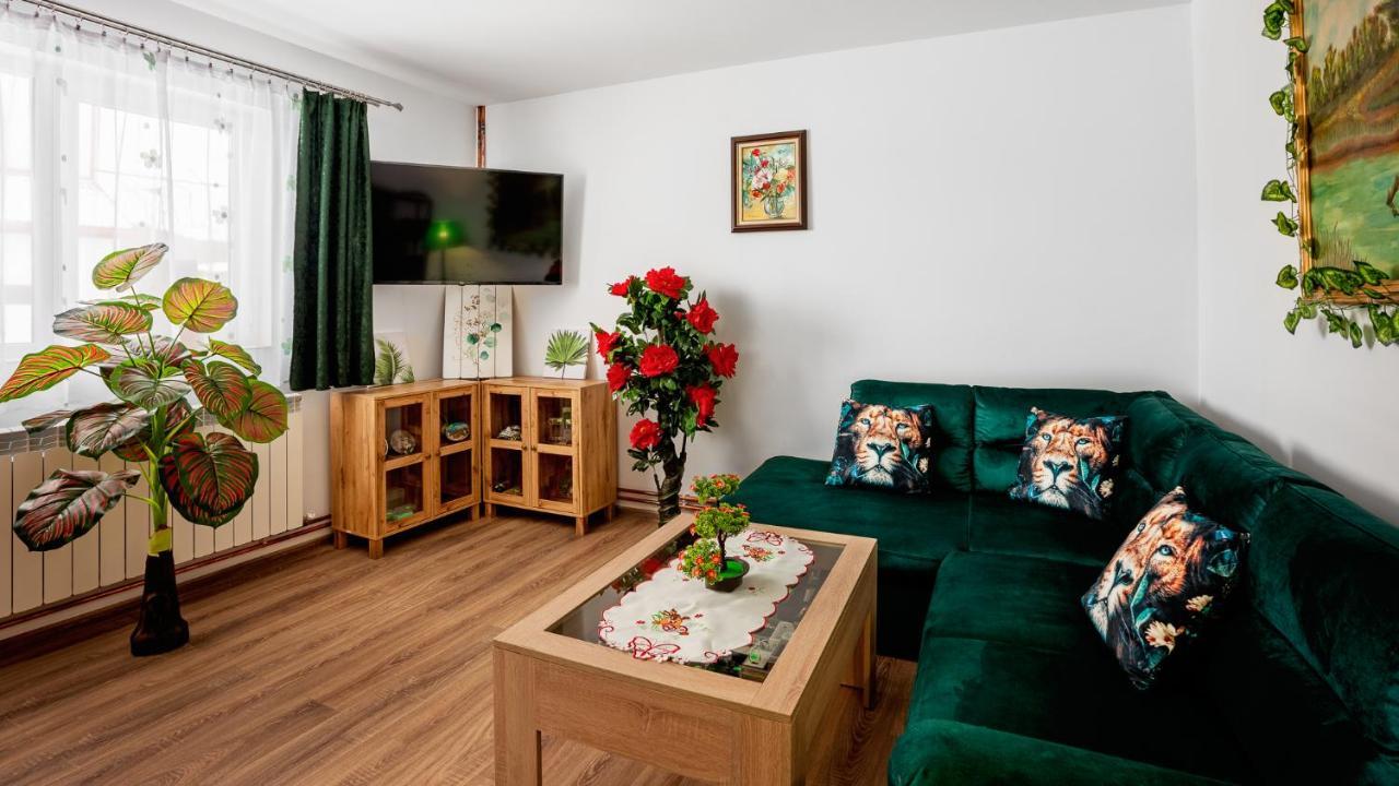 Hotel Casuta Cu Flori à Vilcele  Extérieur photo