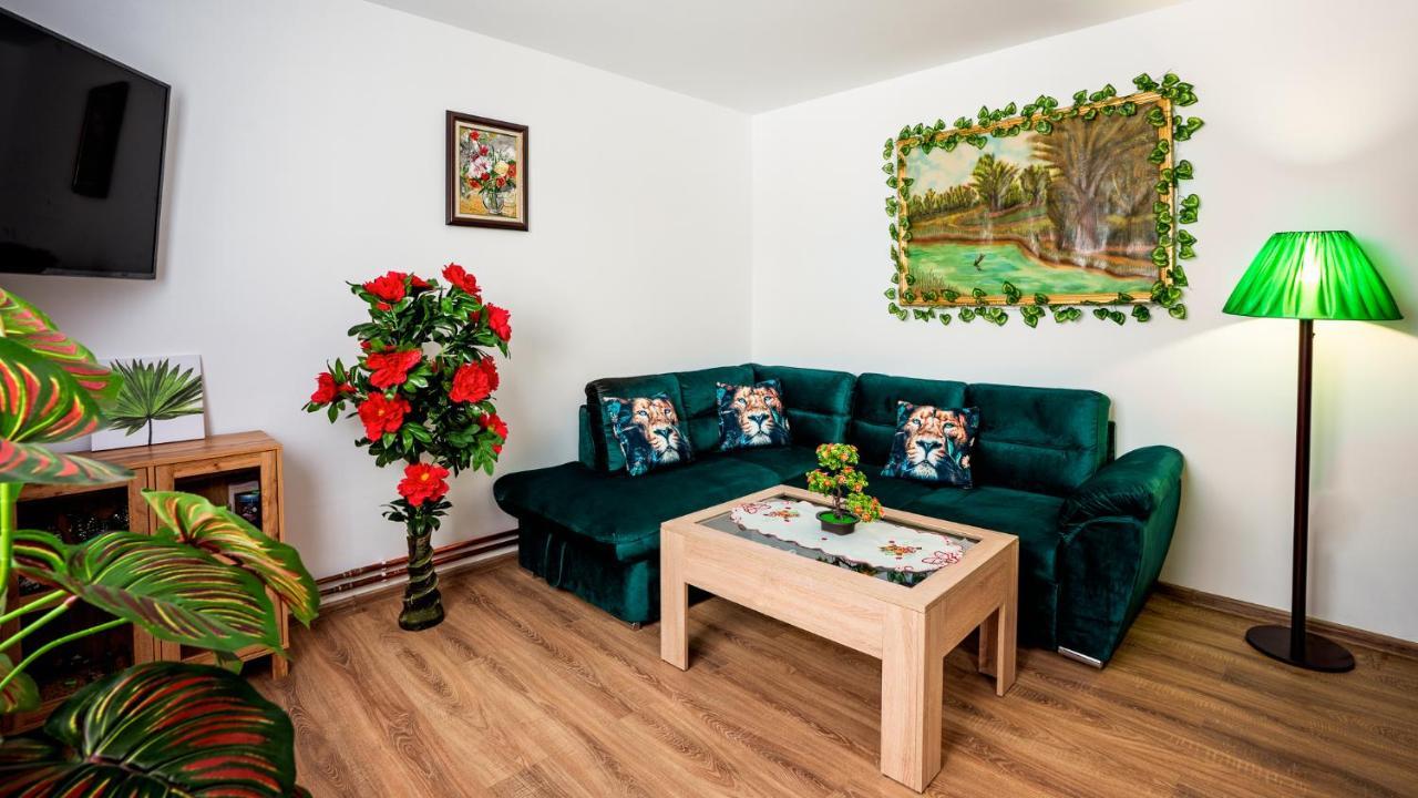 Hotel Casuta Cu Flori à Vilcele  Extérieur photo
